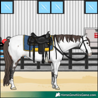Horse Color:Bay Near Fewspot