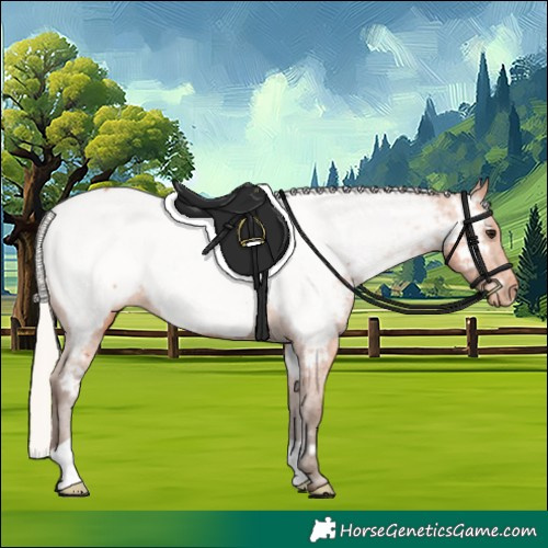 Horse Color:Silver Bay Snowcap 