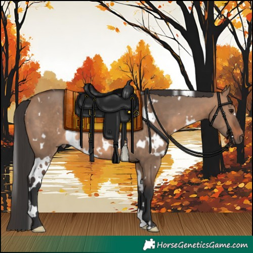Horse Color:White Spotted Brown Dun 