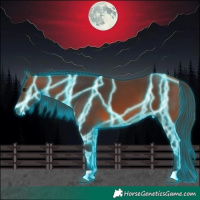 Horse Color:Thunderstruck Bay