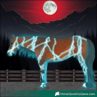 Horse Color:Thunderstruck Bay 