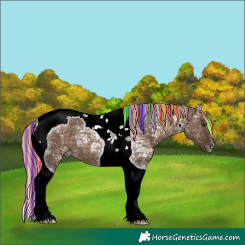 Horse Color:Painted Silver Brown Ice Dun Tobiano 