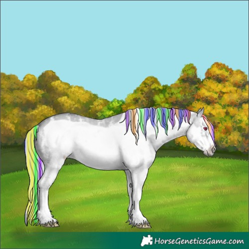 Horse Color:Painted Silver Brown Chinchilla Ice Dun Sabino Frame 