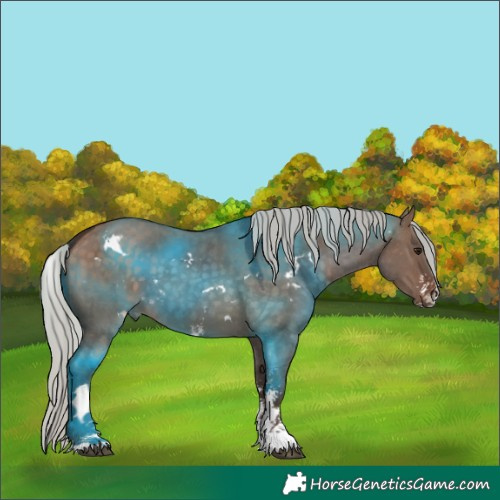 Horse Color:White Spotted Silver Brown Dun Sabino 