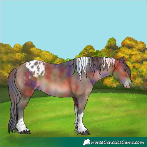 Horse Color:Nacre Bay Tobiano Appaloosa 
