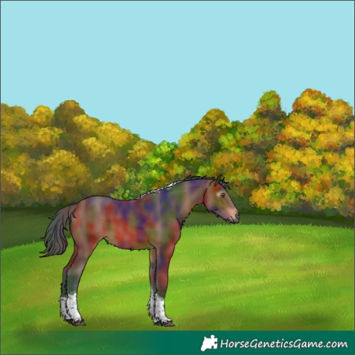 Horse Color:Gray Nacre Bay Tobiano 