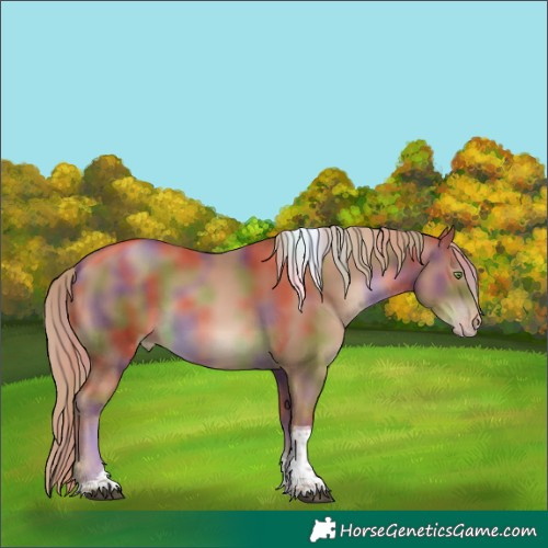 Horse Color:Gray Nacre Chestnut Pearl Tobiano 