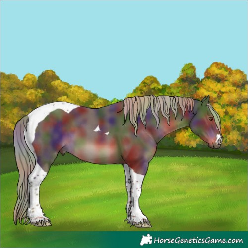 Horse Color:Nacre Liver Chestnut Tobiano 