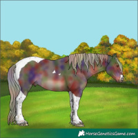 Horse Color:Nacre Liver Chestnut Tobiano 