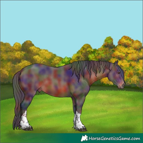 Horse Color:Nacre Brown Tobiano 