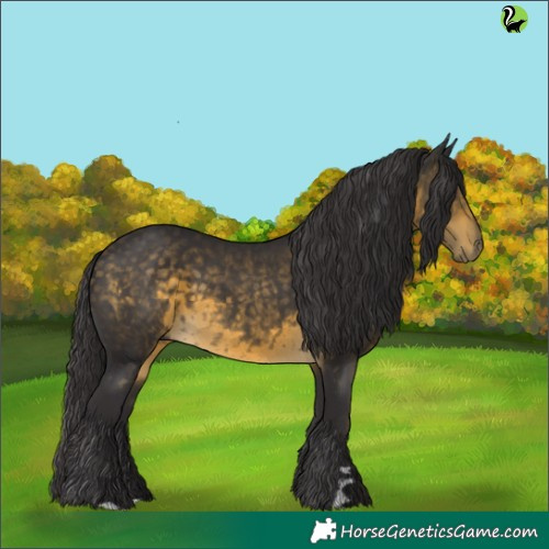 Horse Color:Buckskin 
