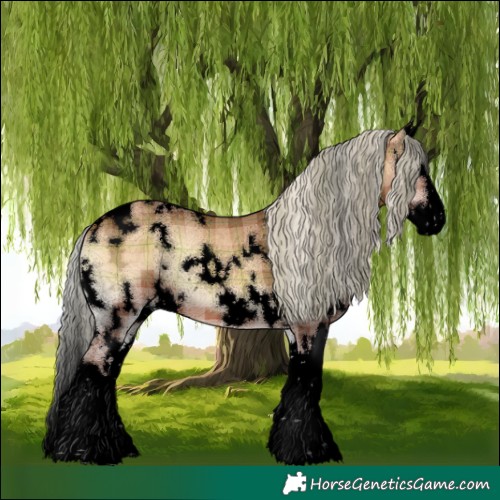 Horse Color:Void Plaid  White Spotted Silver Bay Ice Onyx Splash 
