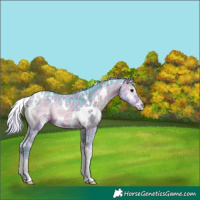 Horse Color:Watercolor Plaid  White Spotted Silver Brown Ice Onyx 