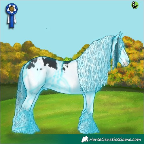Horse Color:Thunderstruck White Spotted Black Splash 