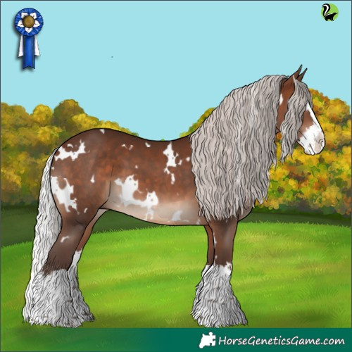 Horse Color:White Spotted Silver Brown Splash 