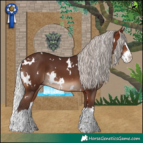 Horse Color:White Spotted Silver Brown Splash 