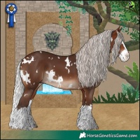 Horse Color:White Spotted Silver Brown Splash 