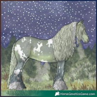 Horse Color:Watercolor White Spotted Silver Brown 