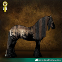 Horse Color:Void Plaid  White Spotted Liver Red Onyx 