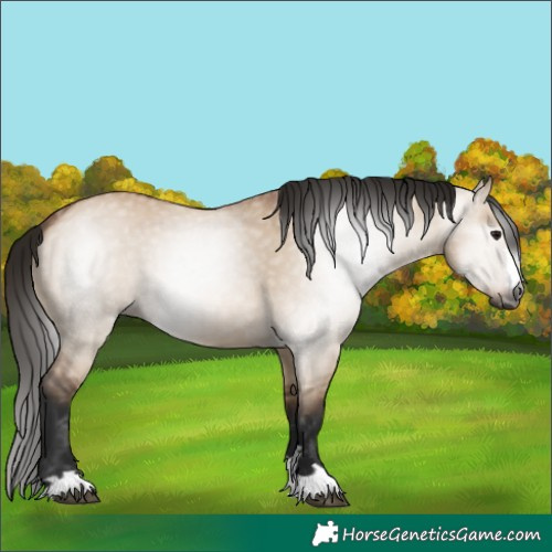 Horse Color:Gray Bay Dun 