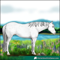 Horse Color:Brown Dun Sabino 