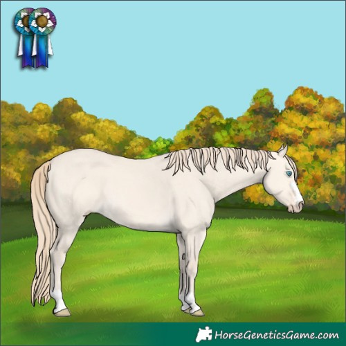 Horse Color:Perlino Dun 