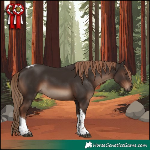 Horse Color:Liver Chestnut Tobiano Rabicano 