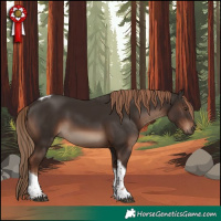 Horse Color:Liver Chestnut Tobiano Rabicano 