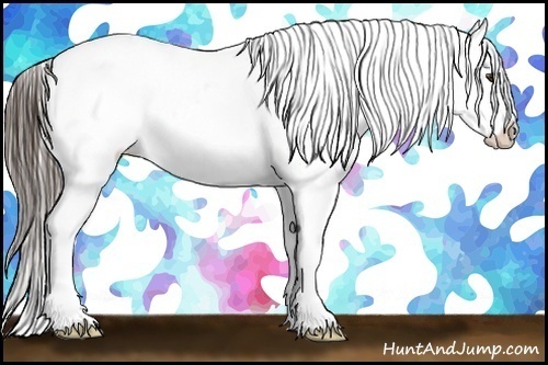 Horse Color:Liver Red Dun Frame Appaloosa 