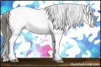 Horse Color:Liver Red Dun Frame Near Leopard 