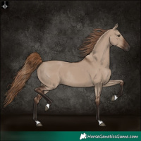 Horse Color:Liver Red Dun Rabicano 