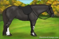 Horse Color:Liver Chestnut Frame 