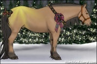 Horse Color:Buckskin Rabicano