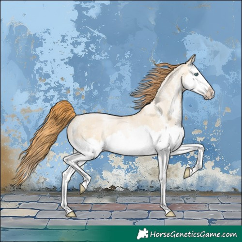 Horse Color:White Spotted Smoky Grullo Pearl Splash 
