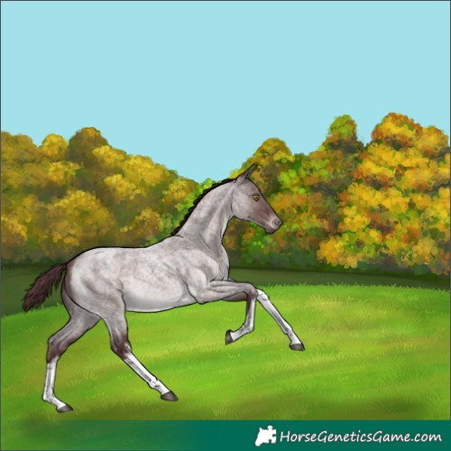 Horse Color:Platinum White Spotted Chocolate Brown Roan