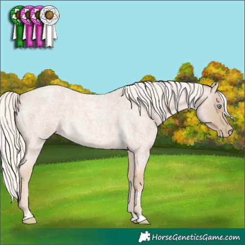 Horse Color:Cremello Roan 