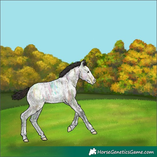 Horse Color:Brown Ice Dun 