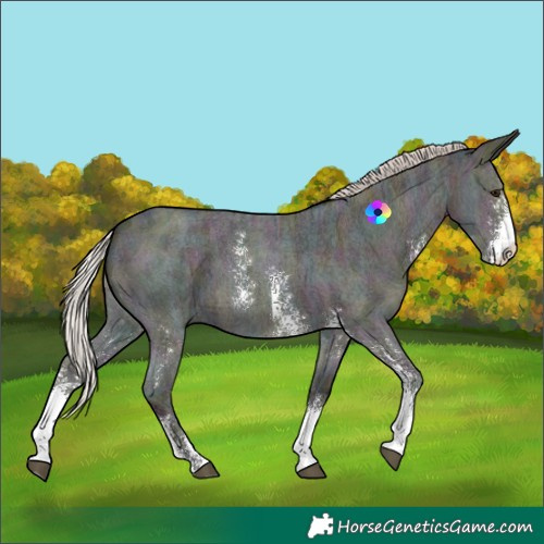 Horse Color:Midnight Silver Brown Ice Dun Sabino 