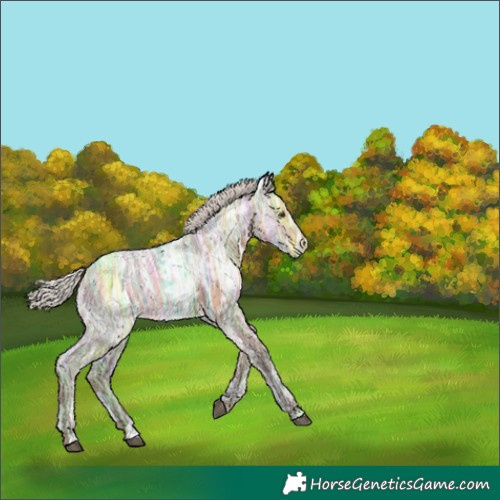 Horse Color:Silver Brown Ice Dun 