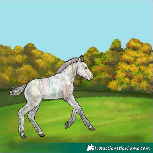 Horse Color:Silver Brown Ice Dun 
