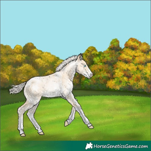 Horse Color:Silver Buckskin Ice Pearl Dun Sabino 