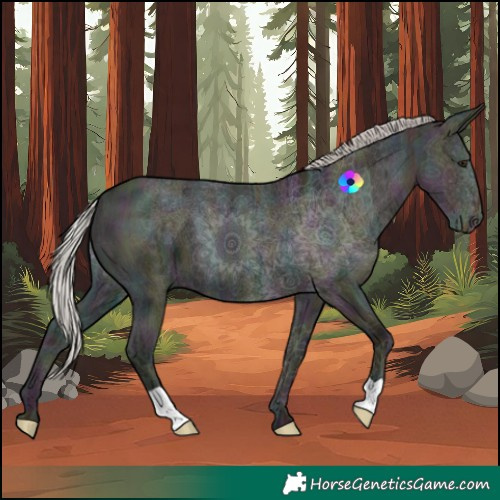 Horse Color:Midnight Silver Brown Ice Dun 