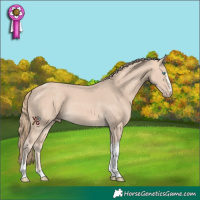 Horse Color:Perlino Tobiano