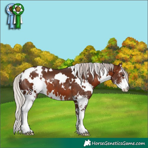 Horse Color:White Spotted Silver Brown Sabino 