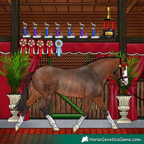 Horse Color:Bay Rabicano 