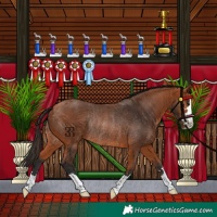 Horse Color:Bay Rabicano 