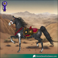 Horse Color:Black Sabino 