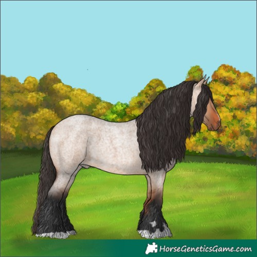 Horse Color:Bay Roan Dun
