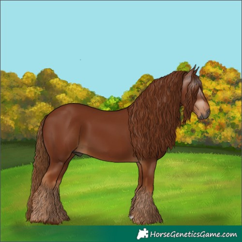 Horse Color:Gray Chestnut