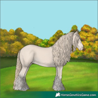 Horse Color:Smoky Creme 